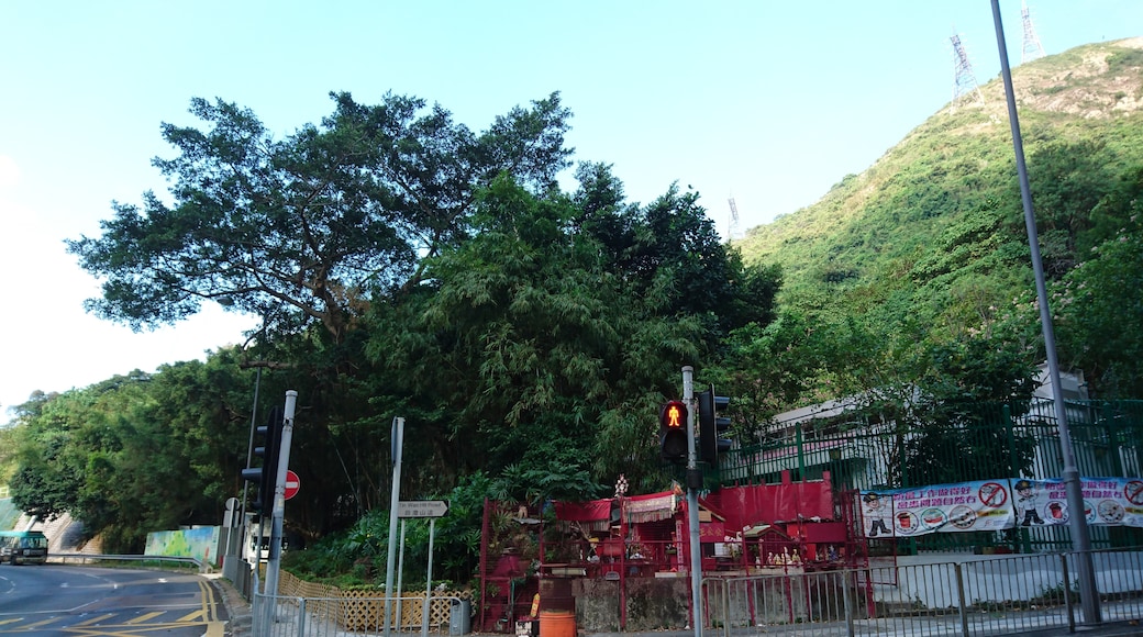Photo "Tin Wan" by Ceeseven (CC BY-SA) / Cropped from original