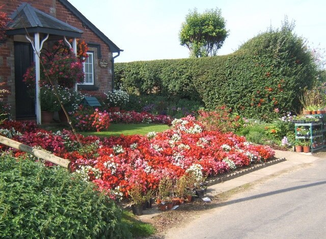 Kuva ”Boxted” käyttäjältä Andrew Hill (CC BY-SA) / rajattu alkuperäisestä kuvasta