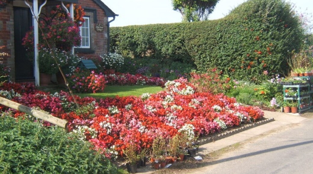 Kuva ”Boxted” käyttäjältä Andrew Hill (CC BY-SA) / rajattu alkuperäisestä kuvasta