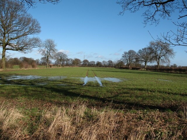Foto “Brafferton y Helperby” tomada por Gordon Hatton (CC BY-SA); recorte de la original