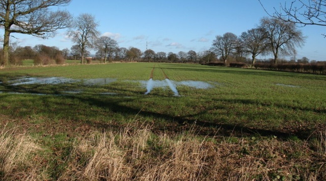 Foto “Brafferton y Helperby” tomada por Gordon Hatton (CC BY-SA); recorte de la original