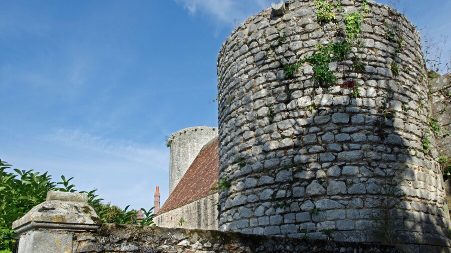 Photo "Alluyes (Eure-et-Loir) Le château féodal (XIIIe). Il était protégé par une enceinte fortifiée garnie de plusieurs tours. Le donjon a été construit sur une ancienne motte. Il mesure une trentaine de mètres de haut, son diamètre étant d'un peu plus de 14 m. Les murs peuvent mesurer jusqu'à 3 m d'épaisseur. L'accès qui s'ouvre à 9m du bas, devait déboucher sur le chemin de ronde de la muraille. Il est dans le style de construction des tours philippiennes (de Philippe Auguste); tour circulaire et voute d'ogive pour les étages. La tour d'Alluyes est sans fondements et simplement posée sur le sol. La poterne est le seul vestige de l'entrée fortifiée et du pont levis. La chapelle fut construite au XVe siècle, elle fut sanctifiée en 1473. Grégoire de Tours, dans ses annales (chap. 44), rapporte que Chilpéric, poursuivi par Sigebert et Gontran en 576, se retrancha dans le Perche, à Alluye*, où il fit la paix*. (En réalité il s'agit plus probablement de Gontran et des troupes de Sigebert, ce dernier ayant été assassiné en décembre 575, à moins qu'il ne s'agisse pas de 576, mais de 574). Vers 849, les Normands ayant détruit l'abbaye de Saint Père, Hélie, évêque de Chartres les repoussa, et pour remercier des militaires qui l'avait servi, leur donna des possessions de cette abbaye qui sont les bourgs d'Alluye, Brou, Authon, La Bazoche, et Monmirail. Qui seront plus tard les cinq baronnies du Perche Gouët (Histoire de Chartres). Un certain Hugues, seigneur d'Alluye est mentionné comme témoin d'une donation faites par Leudegarde de Vermandois à l'abbaye de Saint-Père-en-Vallée de Chartres, le 5 février 978. C'est le premier seigneur d'Alluyes dont on ait la trace écrite*. Il était peut-être vassal de Leudgarde de Vermandois, veuve de Thibaud "le Tricheur" comte de Blois, Chartres et tours, mais aussi de l'évêque de Chartres. Au milieu du XIe siècle un seigneur local du nom de Guillaume Gouët, seigneur de Montmirail, Authon et La Bazoche, se marie avec Mathilde d’Alluye*, dame de Brou et d'Alluye, et devient par cette union également seigneur d’Alluye et Brou*. Guillaume II Gouët dit "Le Vieux"*, fils de Mathilde d'Alluye et Guillaume Gouët, succédera comme seigneur d'Alluyes. Puis Guillaume III Gouët d'Alluye dit "Le Jeune", fils du précédent et de Eustachie Crespon. Guillaume IV Gouët d'Alluye, fils du précédent, laissera une héritière: Mathilde d’Alluyes (1153 à Tours - après 1180) qui épousera Henri ou Hervé III de Donzy* en 1169 (c'est le troisième mariage du baron de Donzy). Après la mort de Mathilde d'Alluyes en 1180, Alluyes passera dans la famille Donzy par son époux Hervé III baron de Donzy. On peut très probablement attribuer à Hervé IV de Donzy* (comte de Nevers, seigneur de Cosne, seigneur de Saint-Aignan-sur-Cher), la mise en eau des fossés du château et de la basse-cour par détournement du cours du Loir*. Agnès de Donzy (1202 - 1225) succédera à son père Hervé IV. Seule héritière, elle épousera Philippe de France, fils du futur roi de France Louis VIII dit "Le Lion"*. Philippe mort un an après son mariage, Agnès se remariera avec Guy III de Châtillon*. Elle mourut en couches de son deuxième enfant, Gaucher de Châtillon qui survécut. La construction du donjon débute probablement vers 1230. Les constructions semblent être achevéée avant 1250, par Gaucher de Châtillon. Gaucher de Châtillon perdit la vie à Damiette en 1250. La soeur de Gaucher de Châtillon mourut en 1254 et laissa le Perche-Gouët à sa fille Mahaut. Mahaut (Mahaut II de Dampierre) épousa Eudes fils du duc de Bourgogne en 1248. Elle mourut en ayant suivi son époux à la croisade, à Saint-Jean d-Acre, en 1262. Eudes à son tour meurt, le 4 août 1266. La cadette des filles, Marguerite (Marguerite de Bourgogne) hérite du titre de comtesse de Tonnerre et hérite du Perche-Gouët et d'autres fiefs (L'aînée est faite comtesse de Nevers, la puinée devient comtesse d'Auxerre). Marguerite de Bourgogne (1250-1308) épousa en 1268, Charles de France, comte du Maine, d'Anjou, et de Provence. Il était frère de Saint-Louis. Avec l'accord du Pape, Charles fit assassiner le prétendant au royaume de Sicile et devint roi de Sicile sous le nom de Charles Ier. Marguerite s'installa à Naples. Le lundi de Pâques 1282 (30 mars), à l'heure des Vêpres, une révolte éclate à Palerme, 8000 soldats français sont massacrés et Charles est chassé de l'île. Il s'en suivit une séparation du royaume de Sicile en deux parties : La Sicile insulaire et le royaume de Naples péninsulaire*. Charles meurt à Foggia en Italie, en 1285, Marguerite retournera dans son domaine de Tonnerre ou elle décèdera le 4 septembre 1308. Par testament, elle cède ses cinq baronnies (Alluyes, Brou, Authon, La Bazoche et Montmirail), à son neveu Robert de Cassel*. De 1342 à 1418, Alluye passera chez les comtes de Bar, par alliance (en 1340) de Yolande de Cassel (Yolande de Flandre-Cassel) avec Henri IV comte de Bar et seigneur de Puisay. Robert Ier de Bar succédera comme seigneur du Perche-Gouët (Alluyes, Brou, Montmirail, Auton, La Bazoche) et autres lieux. Un Jean de Bar, seigneur d'Alluye et autres lieux, fut tué à Azincourt le 25 octobre 1415. Pendant la Guerre-de-Cent-Ans, le château fort a été occupé par les Anglais*. Louis de Luxembourg*, seigneur d'Alluye par sa femme Jeanne de Bar, ayant adhéré à la cause anglaise, sera dépossédé du château au profit de Charles V d'Anjou. Celui-ci y recevra Louis XI en 1463 et fera bénir la chapelle castrale, Saint-Nicolas, en 1479. A la Renaissance, en 1505, Florimond Robertet d'Alluyes (1457-1533), Trésorier de France du roi Charles VIII, Secrétaire d'etat sous Louis VII, puis administrateur du royaume sous François 1er, acquiert les baronnies d’Alluyes et de Brou. Il fera rénover le château. Bien qu'enrichit considérablement par les rois qu'il servit, Florimond Robertet mourut paisiblement dans son lit, ce qui était rare à l'époque pour un secrétaire au Trésor*. Les Robertet se succéderont, puis le fief d'alluyes passera par héritage, chez les Babou de la Bourdaisière*. A la fin du XVIe siècle, Henri IV, rencontra à Alluyes la belle Gabrielle d'Estrées, arrière-petite-fille de Florimond Robertet. A partir de 1591, il revint plusieurs fois à Alluyes pour rendre visite à sa maîtresse. Henri IV fit de la baronnie d'Alluyes un marquisat. C'est Isabelle Babou qui obtint en 1603 que la baronnie d'Alluyes fut érigée en marquisat (et la châtellenie d'Auneau en baronnie). Un descendant des Babou serait Louis XV, d'après lui-même* Isabelle Babou, fille de Jean Babou et Françoise Robertet, dame d'Alluyes, était l'épouse de François d'Escoubleau, marquis de Sourdis. Le 30 octobre 1633, le maréchal de Châtillon remit les gouvernements d’Orléans , du pays Chartrain , du Blaisois , du Vendômois , & du Dunois ,entre les mains de sa majesté , qui en pourvut M. Charles d’Escoubleau , chevalier des ordres du roi , marquis de Sourdis & d’Alluye , & y ajouta le château d'Amboise (Histoire de Chartres). En 1679, à l'apogée du règne de Louis XIV, éclatait la sordide affaires des poisons. Parmi "la clientèle des officines de poison et de mort, les accusés ne faisaient pas que mentionner quelques blanchisseuses, fripières, vinaigrières ou cabaretières, battues par leur ivrogne de mari, voire quelques gentilshommes déclassés tombés dans la débauche, mais de puissants et riches robins, membres des cours souveraines, des gens titrés, nobles de vieille souche, aristocrates de haut rang, et parmi eux les plus grands noms de France : Olympe Mancini,(...) la princesse de Tingry, les duchesses d’Angoulême, de Bouillon, de Vitry, de Vivonne, le maréchal-duc de Luxembourg, les ducs de Vendôme et de Brissac, la marquise d’Alluyes, les marquis de Cessac, de Feuquières et de Termes, la comtesse du Roure, la vicomtesse de Polignac…"(L'affaire des Poisons - Jean-Christian Petitfils). La baronnie d'Alluye, devenu marquisat sous François d'Escoubleau, restera dans la famille pendant plus de 100 ans, puis sera vendue par décret à Jean, marquis de Gaffion*. Sa fille Jeanne de Gaffion, comtesse de Peyre par alliance*, lui succédera a la mort de son frère Pierre. En 1790, à la Révolution, les cinq baronnies du Perche-Gouët disparaissent avec la création des départements. Le Perche-Gouet est éclaté entre trois départements, la plus grande partie en Eure-et-Loir, quelques villages vont à la Sarthe et quelques petits villages du sud sont rattachée au Loir-et-Cher. Le château d'Alluyes est aujourd'hui propriété d'une association. Grégoire de Tours nomme ce bourg "Avallocium". Le cartulaire de Saint Père du XIe siècle le nomme "Allogia". A la mort de Clotaire Ier, le royaume des Francs est partagé entre ses fils: Sigebert, Gontran, Caribert et leur demi-frère Chilpéric (fils de Clotaire avec sa seconde épouse). Le règne de Chilpéric est occupé par des conflits avec ses frères. En 584 Chilpéric sera assassiné, à coups de poignard, à Chelles (Seine-et-Marne), par un nommé Falco qui réussira à s'enfuir. La pierre de Chilpéric, ou Croix de Sainte-Bautheur, dans le centre de Chelles, marque l'évènement. Aparavant, en 575, Sigebert sera assassiné par des pages de Frédégonde (Epouse de Chilpéric. On attribuera à Frédégonde une demi douzaine de meurtres). Alluyes-sur-le-Loir, une des 5 baronnies du Perche-Gouët, terre attribuée par l’Empereur Charles «Le Gros» à Gérard, Evêque de Chartres vers 880. On peut donc supposer que les barons d'Alluyes étaient vassaux du diocèse de Chartres. Les 4 autres baronnies du Perche-Gouët étaient : Montmirail (la superbe), Auton (la gueuse), La Bazoche (la pouilleuse) et Brou (la noble). Alluyes étant sur nommée "la riche". Mathilde ou Mahaut d'Alluyes, fille de Gauthier, seigneur d'Alluyes. Après la mort de Guillaume, elle se remariera avec Geoffroy, baron de Mayenne, seigneur de la Chartre-sur-Loir et comte du Maine. En 1050, Montmirail et Alluye étaient encore dans des mains différentes. Peu après, Mahaut (Mathilde), dame d'Alluye et de Brou, épousa en secondes noces Gillaume Goet (Gouët) seigneur de Montmirail. Guillaume deviendra ainsi seigneur du "Petit-Perche" dit "Perche-Gouët". Guillaume fut empoisonné à Courville, en 1065, par la comtesse de Montgommery, mais n'en mourut pas. Mathilde survécu jusqu'en 1096 et se remaria avec Geoffroy baron de Mayenne. (Histoire de Chartres) Hervé III de Donzy eut à lutter successivement contre le comte de Sancerre, Louis le Jeune et le comte de Champagne. Il mit alors sous la protection du roi d'Angleterre ses châteaux de Saint-Aignan, Montmirail, Alluye, etc... Le roi de France pour tirer vengeance de ce procédé, asségea Donzy, avec l'aide du comte de Nevers, en 1170, et démolit le château. La paix revint ensuite avec la médiation du roi d'Angleterre. Hervé IV de Donzy deviendra comte de Nevers après avoir fait prisonnier Pierre II de Courtenay. Pour prix de sa libération, il forcera Pierre de Courtenay à lui accorder la main de sa fille Mathilde (Mahaut) ainsi que le comté de Nevers. On dit que le Pape ne reconnaîtra le mariage qu'après qu'Hervé eut participé à plusieurs croisades, dont celle contre les Albigeois. Hervé mourut dans son château de Saint-Aignan, empoisonné, le 21 janvier 1222. Mahaut de Courtenay se remaria avec Guy IV de Forez qui succomba en Italie lors de son retour de la croisade. Mahaut se retira à Fontevrault où elle mourut en décembre 1256. Relaté dans une charte datée de 1222, où figure pour la première fois la mention du château. "En 1096. Guillaume (Goet II) seigneur d’Alluye, considérant que les richesses de la terre conduisent ceux qui s’en servent mal, dans le fond de l'enfer, & que ceux qui les distribuent aux pauvres nécessiteux , en ' reçoivent d’éternelles récompenses, estima qu’il devoit se faire des amis des biens qu’il possédoit, afin d’être reçu à l'heure de sa mort, dans les tabernacles qui ne peuvent périr. Ce seigneur, très-illustre & de très-noble race , selon les dignités du siècle & emplois de la guerre, reconnoissant sa noblesse obscurcie par ses mauvaises oeuvres, & comme un vrai chrétien, S’humilioit & déploroit ses péchés , dont il désiroit&obtenir le pardon , prit pour son intercesseur Saint Pierre, le prince des apôtres, lui donna & aux moines de son monastère de Chartres , l'église de St. Lubin, confesseur & évêque de Chartres; laquelle église ses ancêtres avoient fait bâtir magnifiquement en la vallée de Châteaudun, & en jouissoient comme de leur patrimoine. Il leur donna aussi tous les droits honorifiques & tout ce qui dépendoit de cette église , tant dedans , que dehors; les dimes & les censives. Il permit aux nobles, ses vassaux , de donner , ou de vendre les dimes dont ils jouissoient ; comparant les choses , qu’il donnoit, avec la récompense qu’il espéroit recevoir de la bonté de Dieu , il estimoit qu’il ne donnoit rien, parce que les biens de la terre passent & prennent fin , & que les biens célestes sont éternels , d’un prix inestimable & incorruptibles; il disoit qu’il imitoit cette veuve qui offroit "duo minuta", & que, donnant en ce monde un verre d'eau froide , il espéroit que dans le ciel il lui seroit utile. Ce très-pieux seigneur , pour donner autorité à cette donation, la fit signer par Mathilde , sa mere , & la signa lui-même, avec Eustache , sa femme , Hugues & Guillaume, ses fils , encore jeunes , & autres." (Histoire de la ville de Chartres par M. Doyen - 1786) Guy III de Châtillon, époux de Agnès de Donzy, est mort d'un coup de pierre, pendant la croisade contre les albigeois, en août 1226. Louis VIII Le Lion, Roi de France de 1223 à 1226, le 8 ème capétien, épousa (le futur roi avait 13 ans et Blanche 12) Blanche de Castille, qui fut "deux fois reine": reine de France par sont mariage avec Louis VIII puis reine d'Angleterre par son remariage avec un Plantagenêt. Louis VIII était le fils aîné de Philippe Auguste (Philippe II) et le père de Saint-Louis (Louis IX). Louis VIII Le Lion ajoutera le Poitou et le Languedoc au royaume de France. Avec son père, Philippe Auguste, il participe à la lutte contre l'Angleterre. Il bat Jean-sans-Terre à La Roche-aux-Moines en 1214, mais est battu par le fils de Jean-sans-Terre, Henri III, à Lincoln en 1216. Il lance la croisade contre les albigeois en 1225-1226. Il meurt malade, sur le chemin de Paris, au retour de la croisade. Les comtes d'Anjou gardèrent le royaume de Naples jusqu'en 1442. René d'Anjou fut évincé par le roi d'aragon qui réunifia les deux siciles sous le nom de "royaume des Deux-Siciles". Robert de cassel (1278-1331) était fils de Robert III de Flandre et de Yolande de Bourgogne soeur de Marguerite de Bourgogne et comtesse de Nevers. Le Perche sera entièrement occupé à partir de la défaite de Verneuil-sur-Avre en août 1424. Thomas de Montaigu, comte de Salisbury sera nommé comte du Perche par Henri V d’Angleterre. Thomas de Montaigu qui a combattu à Azincourt, Verneuil et autres, sera tué par un boulet de canon en octobre 1428, à Meung-sur-Loire, lors du siège d'Orléans. L'occupation durera 25 ans. Louis de Luxembourg-Saint-Pol (fait connétable de Saint-Pol par Louis XI) fut condamné à mort, pour lèse-majesté, par le Parlement le 19 décembre 1475, et décapité sur la place de Grève de Paris le même jour. Louis de Luxembourg qui soutenait le roi de France, apportait également son aide au duc de Bourgogne allié de l'Angleterre. En réalité cet intrigant ne jouait que pour lui-même. Lassé de ses intrigues, le roi d'Angleterre Édouard IV, donna à Louis XI la correspondance que Louis de Luxembourg lui avait adressée, et le duc de Bourgogne, Charles le téméraire le livra à Louis XI. De 1315 jusqu'à 1522, de Louis X le Hutin jusqu'à François Ier, sur les 12 secrétaires aux finances qui se sont succédés, 8 furent pendus ou assassinés, 3 furent condamnés à l'exil ou la prison. Seul Florimond ne fut pas inquiété, pendant 40 ans. Françoise Robertet avait épousé en premières noces Jean Babou de la Bourdaisière. De ce mariage est issu Françoise Babou de La Bourdaisière qui épousera Antoine d'Estrées. Françoise fut tuée à Issoire lors des guerres de la Ligue, en laissant 9 enfants, dont la belle Gabrielle d'Estrées qui sera favorite d'Henri IV. * Afin d'en remontrer à l'orgueil des "grands" concernant leur généalogie Louis XV aurait dit un jour : 
 «Sous le règne de Louis XI, vers 1470, il y avait à Bourges un honnête notaire qui s'appelait Babou. On trouva même quelque part que le père de ce notaire avait été barbier, mais cela n'est pas si constant que l'état de notaire exercé par le fils, dont il existe dans les archives du Berry, nombre d'actes signés de sa main. Babou fit fortune et acheta pour son fils, Philibert Babou, une charge de trésorier de France. Philibert devint maître d'hôtel du roi Charles VIII. Il fut père de Babou, sieur de La Bourdaisière, maître général de l'artillerie en 1539. La fille de ce La Bourdaisière fut mère de Gabrielle d'Estrées, laquelle eut pour fils naturel, César de Vendôme, marié en 1609 à l'héritière de Mercœur, et père d'Élisabeth de Vendôme, mariée à Charles-Amédée de Savoie, duc de Nemours, qui fut tué en duel par le duc de Beaufort, son beau-frère. Charles-Amédée fut père de Marie de Nemours, laquelle fut mariée à Charles-Emmanuel de Savoie, dont elle eut Victor-Amédée, duc de Savoie, roi de Sardaigne et père de Marie-Adélaïde de Savoie, mariée à Louis de France, duc de Bourgogne, dont j'ai, moi qui vous parle, j'ai l'honneur d'être le fils. Ainsi vous voyez, Messieurs, que mon dixième aïeul était, comme je vous le disais, un très digne notaire de Bourges, dont le père aurait même été barbier. Je ne le renie point, je n'en ressens aucune honte, et je vous invite tous, tant que vous êtes, à ne pas être plus difficiles que moi en arbres généalogiques.» Il s'agit de Jean de Gaffion (Gassion), marquis de Gaffion & d'Alluye, comte Montboyer, baron d'Andaux, maréchal de camp des armées du roi, gouverneur de Dax & de Saint-Sever, nommé chevalier des ordres du saint-Esprit (ouf!) en 1743. Mort le 20 juin 1746 à Pau, âgé de 63 ans. Il avait épousé la fille du garde des sceaux, Marie-Jeanne Fleuriau d'Armenonville. Sa fille Jeanne deviendra dame d'Alluyes à la mort sans enfant de son frère Pierre. Eymard-Henri de Moret, Chevalier, Comte de Peyre, etc... , qui avait épousé Jeanne de Gaffion en 1733. Il mourut le 21 janvier 1739. Leur fils, Jean-Henri, né le 6 septembre 1737, héritier d'une fortune colossale par son père (indirectement, celle de César de Grolée, comte de Peyre, sans enfants), n'ayant pas eu d'épouse ni d'héritiers, fit transmettre l'ensemble de ses biens à une parente éloignée, Marie-Charlotte de Cassagne-Beaufort de Miramon, épouse du comte François-Félix du Plessis-Châtillon. www.richesheures.net/epoque-6-15/chateau/28alluyes-histor... www.perche-gouet.net/histoire/immeubles.php?immeuble=1821 provincehistorique.over-blog.com/article-les-seigneurs-du... www.westhoekpedia.org/wp-content/uploads/downloads/2012/0... maison.omahony.free.fr/ascendants/fiche%20robertet%20flor... fr.wikipedia.org/wiki/Famille_Babou_de_La_Bourdaisi%C3%A8re books.openedition.org/pur/18102?lang=fr#ftn8 books.google.fr/books?id=xWggxFQjnk0C&pg=PA110&lp..." by Daniel Jolivet (Creative Commons Attribution 2.0) / Cropped from original