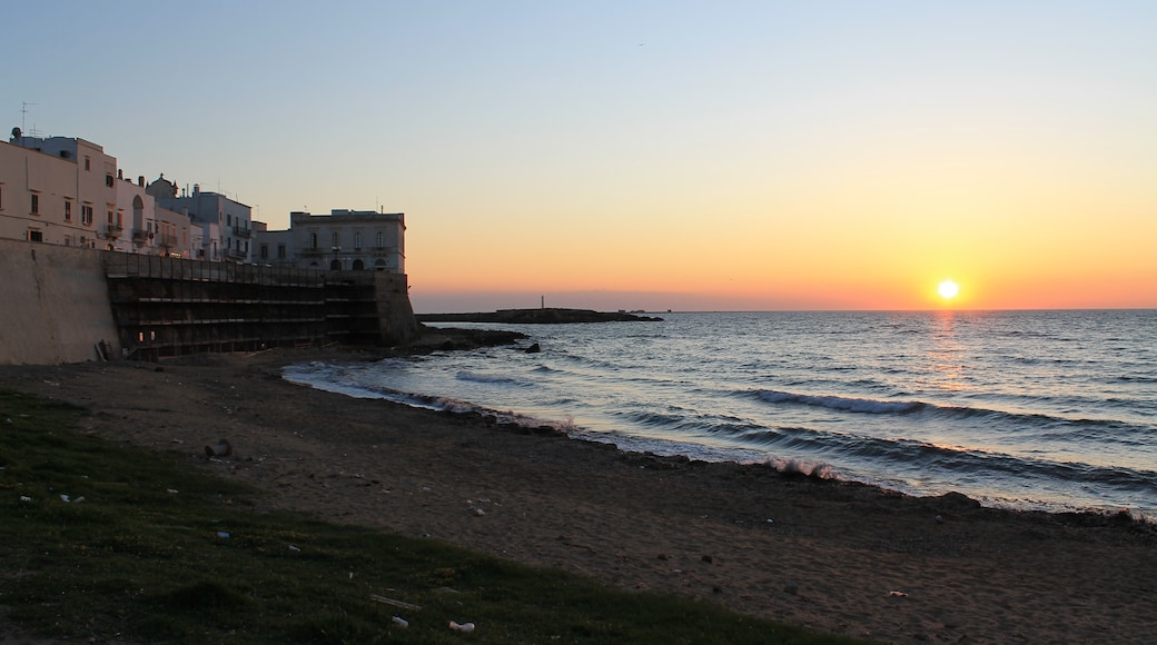 Foto "Pantai Purità" oleh Patrick Nouhailler's… (CC BY-SA) / Dipotong dari foto asli
