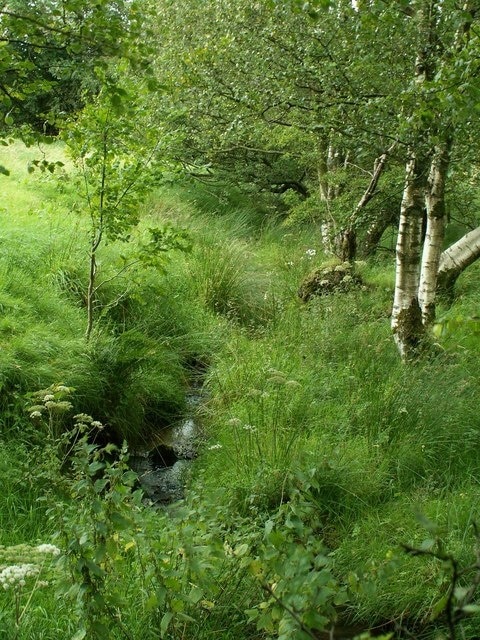 "Stapleton"-foto av Rose and Trev Clough (CC BY-SA) / Urklipp från original