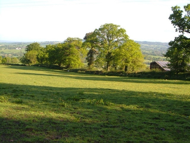 Near Rapshayes Farm. An outbuilding of the farm is on the right. Taken from Parsonage Lane. 7:43 am.