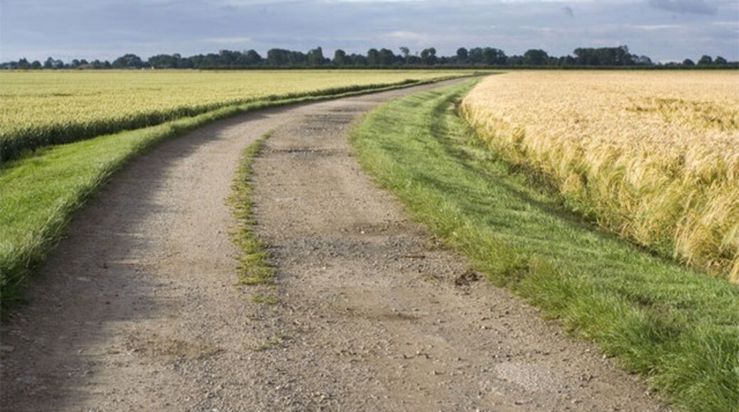 Kuva ”Ulleskelf” käyttäjältä Andrew Whale (CC BY-SA) / rajattu alkuperäisestä kuvasta