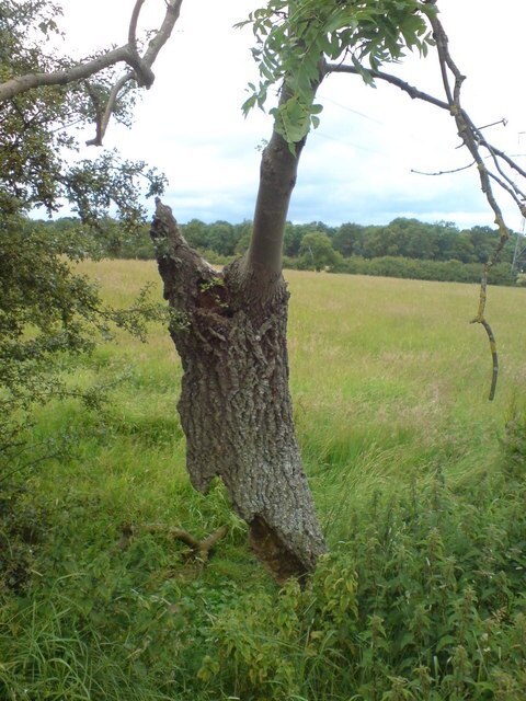 Foto “Warndon” tomada por Andrew Darge (CC BY-SA); recorte de la original