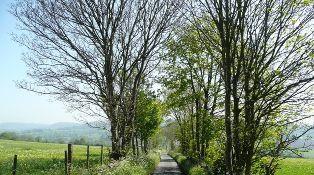 Foto „Whiteshill and Ruscombe“ von Jonathan Billinger (CC BY-SA)/zugeschnittenes Original