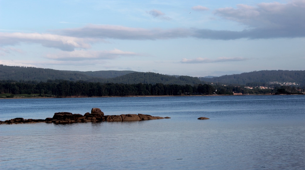 "Toja-ön"-foto av JCNazza (CC BY) / Urklipp från original