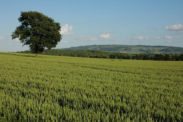 Foto “Besford” tomada por Philip Halling (CC BY-SA); recorte de la original