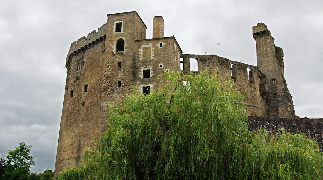 "Clisson slott"-foto av Daniel Jolivet (CC BY) / Urklipp från original