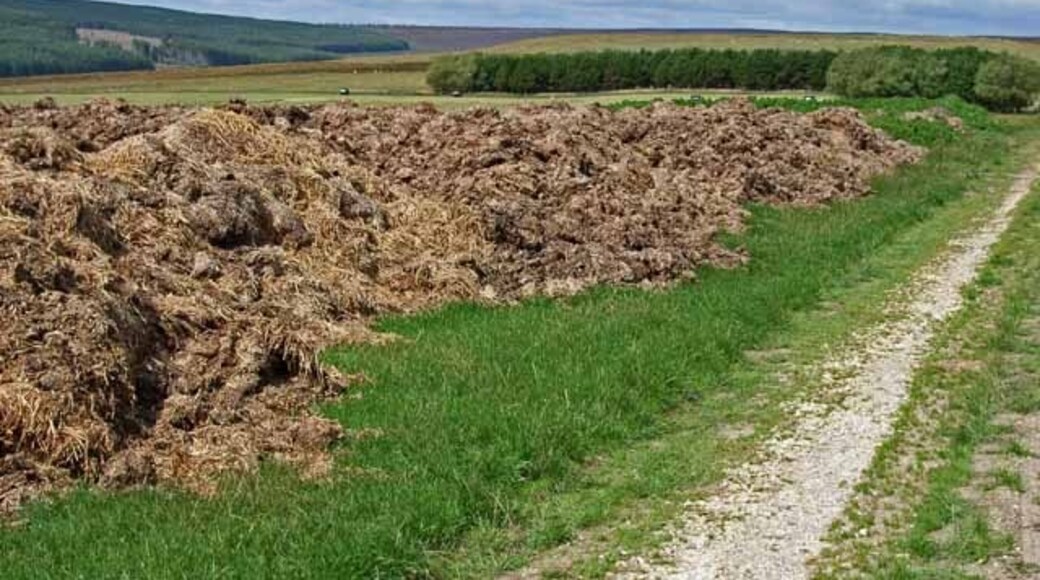 Photo "Harwood Dale" by Oliver Dixon (CC BY-SA) / Cropped from original