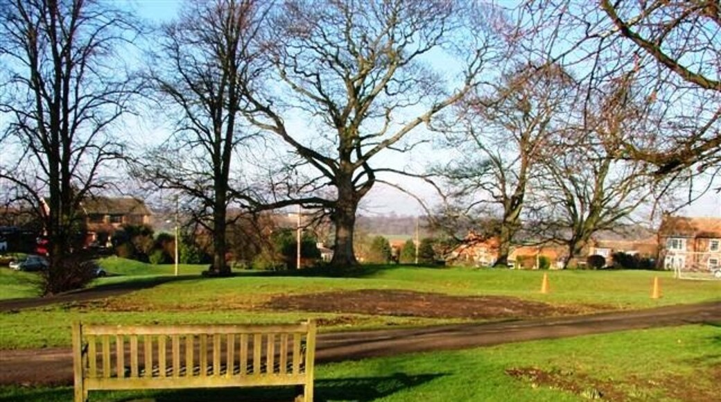 Foto “Low Worsall” tomada por Mick Garratt (CC BY-SA); recorte de la original