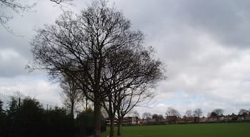 Stevens Park, East Wickham, Kent. This grid square is almost all suburban housing built between the wars, but is relieved by the open space of the small Stevens Park.