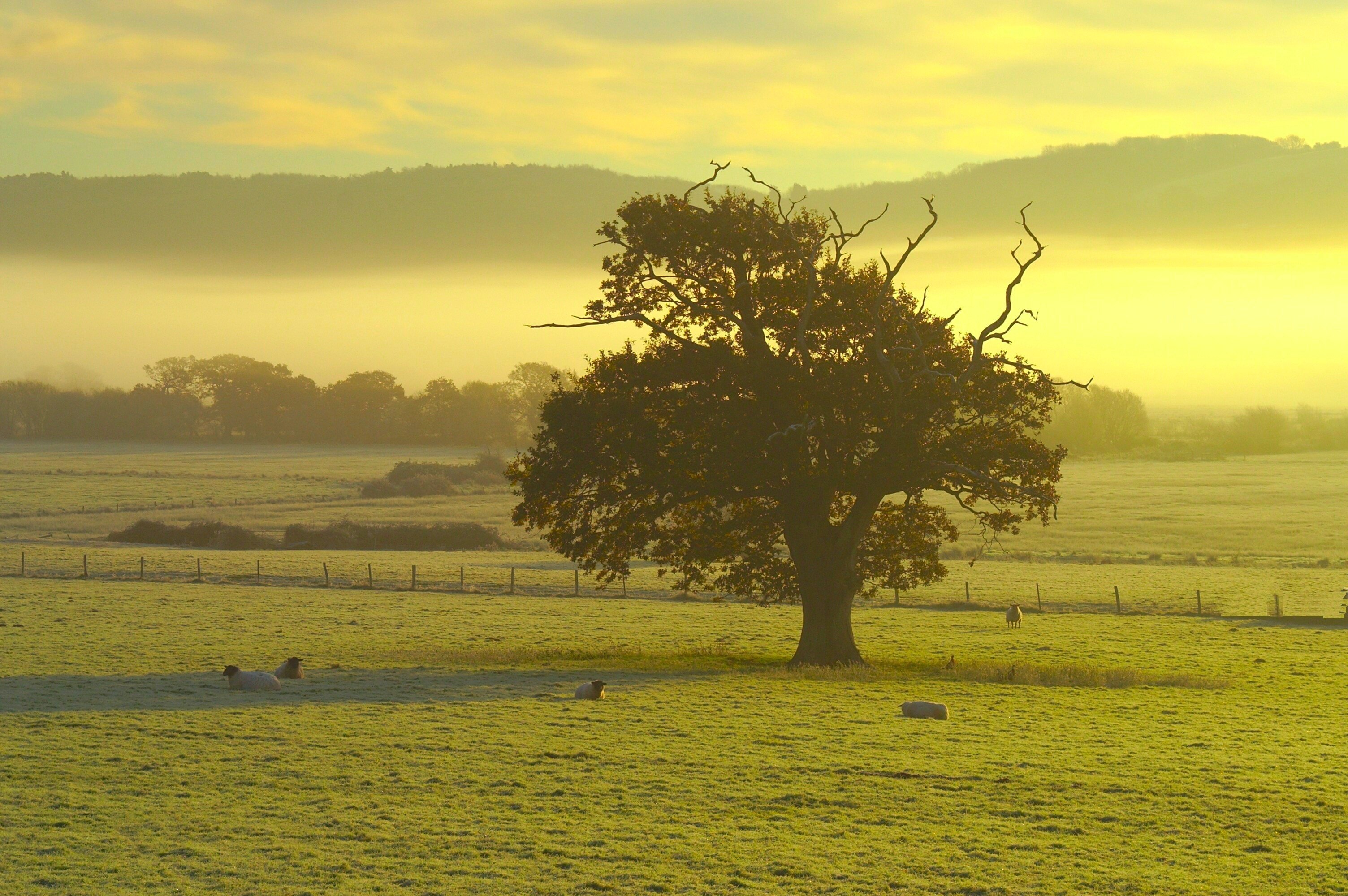 "Walton-in-Gordano"-foto av Jusben (CC BY) / Urklipp från original