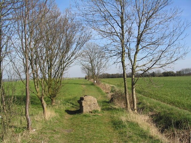 Foto “Wood Walton” tomada por Tim Heaton (CC BY-SA); recorte de la original