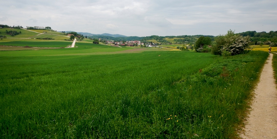 Herzstück des Biosphärengebiets der schwäbischen Alb: Der ehemalige Truppenübungsplatz Münsingen im sogenannten Münsinger Hardt: Blick Richtung Trailfingen