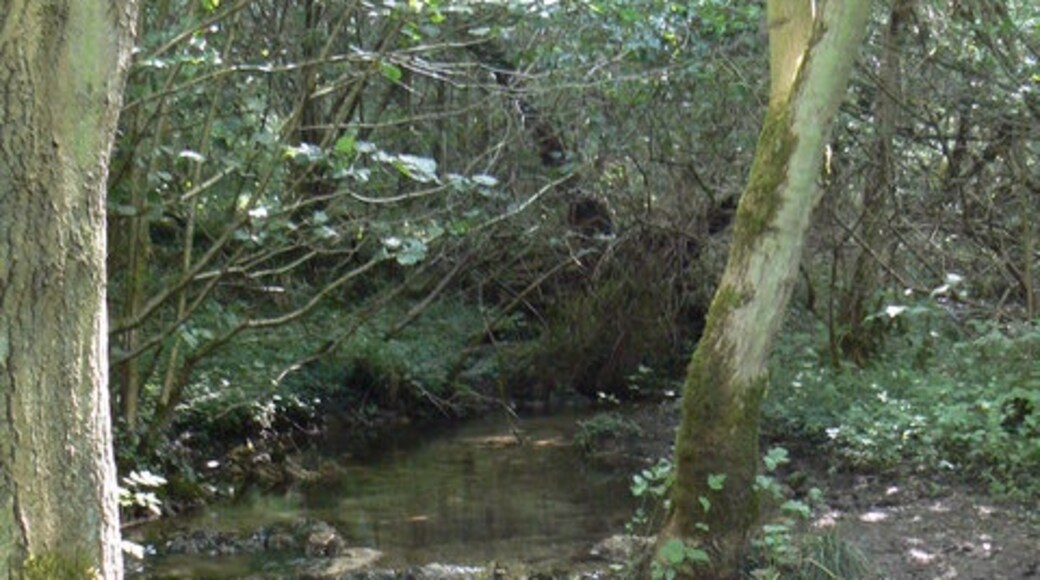 "Ebberston och Yedingham"-foto av bernard bradley (CC BY-SA) / Urklipp från original