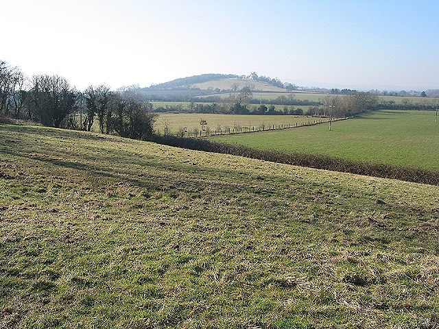 Catsbury Hill near Hartpury Looking at the treeless side.