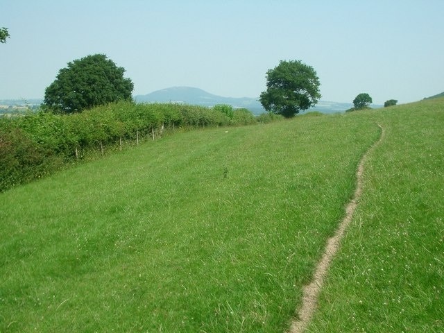 Photo "Harley" by Andrew Longton (CC BY-SA) / Cropped from original