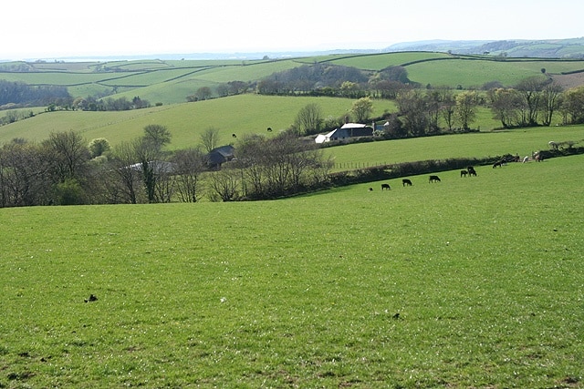 Swimbridge: on Hutcherton Down Looking west towards Hutcherton