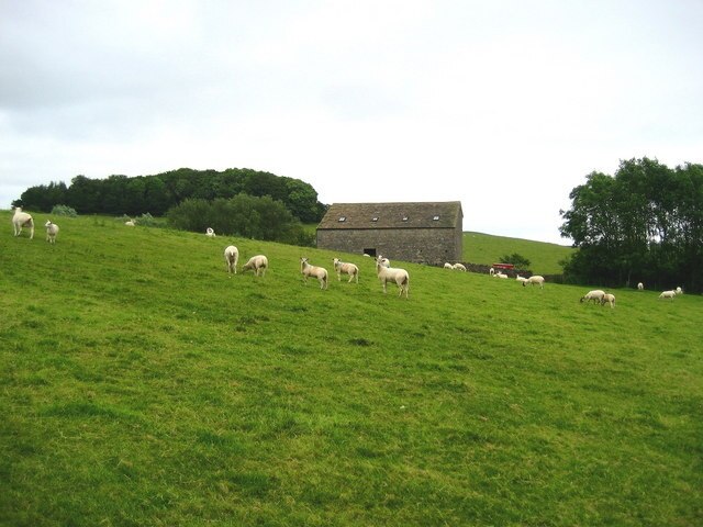 Foto “Bank Newton” tomada por Chris Heaton (CC BY-SA); recorte de la original