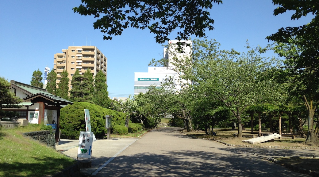 Photo "Tokushima Central Park" by そらみみ (CC BY-SA) / Cropped from original