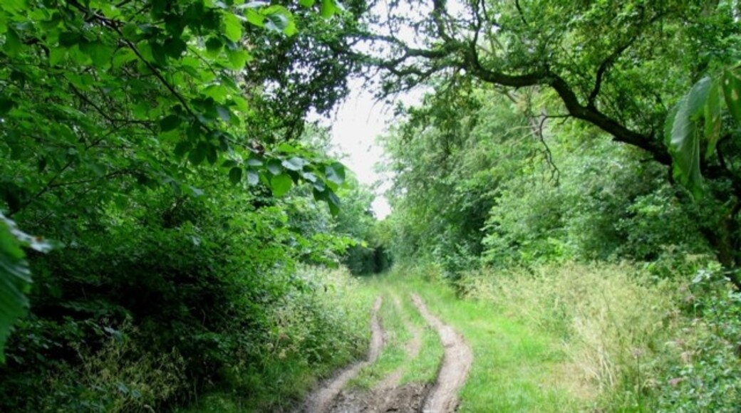 Foto „Glatton“ von Andrew Tatlow (CC BY-SA)/zugeschnittenes Original