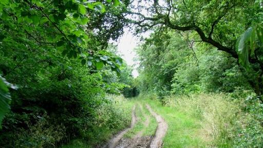 Foto “Glatton” tomada por Andrew Tatlow (CC BY-SA); recorte de la original