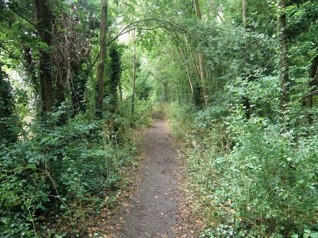 Foto “Woodford” tomada por Michael Trolove (CC BY-SA); recorte de la original