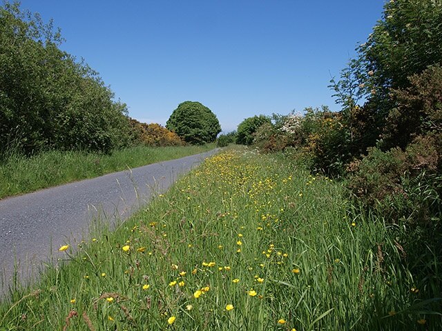 Raikes' Lane