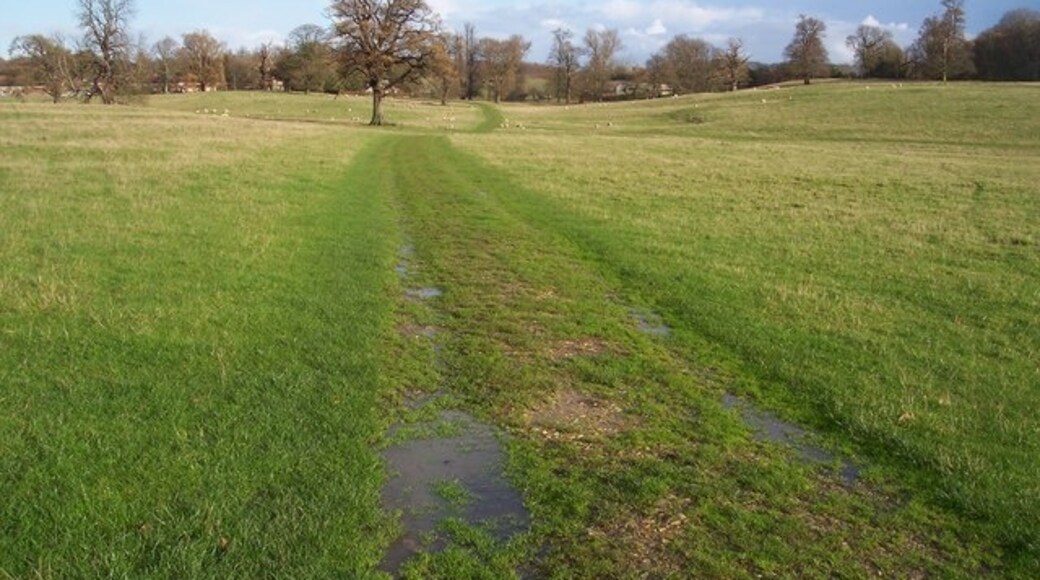 Photo "Hothfield" by David Anstiss (CC BY-SA) / Cropped from original