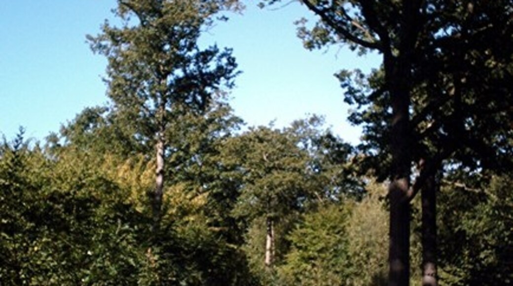 Kuva ”Hawkwell” käyttäjältä John Myers (CC BY-SA) / rajattu alkuperäisestä kuvasta