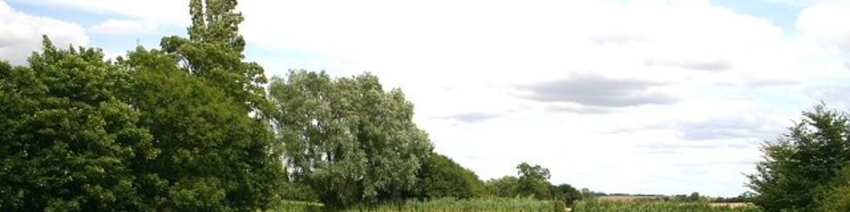 Photo "Sturmer Hall pond Looking east across the pond, from the footpath that leads to Steeple Bumpstead." by Bob Jones (Creative Commons Attribution-Share Alike 2.0) / Cropped from original