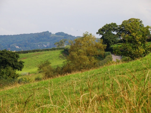 Kuva ”Kingswood” käyttäjältä Stuart Wilding (CC BY-SA) / rajattu alkuperäisestä kuvasta