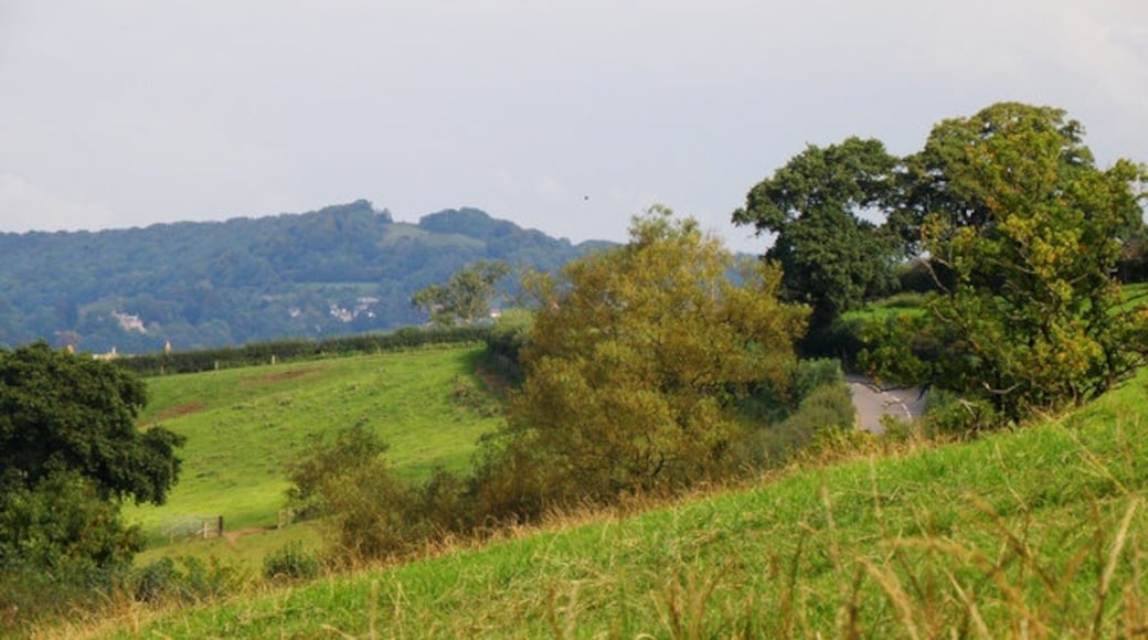 "Kingswood"-foto av Stuart Wilding (CC BY-SA) / Urklipp från original