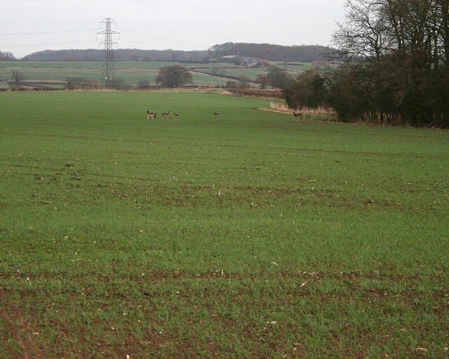 Foto „Bitchfield und Bassingthorpe“ von Kate Jewell (CC BY-SA)/zugeschnittenes Original