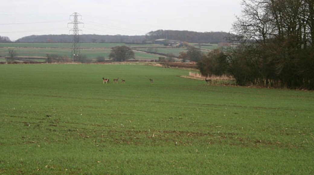 Foto „Bitchfield und Bassingthorpe“ von Kate Jewell (CC BY-SA)/zugeschnittenes Original