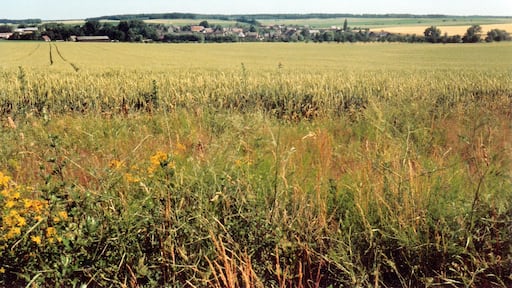 Foto „Altenhausen“ von Andreas Schäfer (CC BY-SA)/zugeschnittenes Original