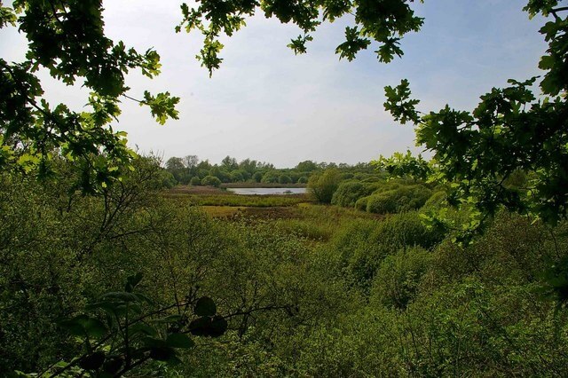 Ảnh "Asheldham" của Glyn Baker (CC BY-SA) / Cắt từ ảnh gốc