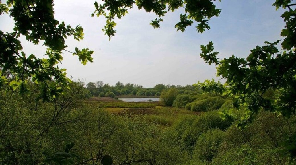 Photo "Asheldham" by Glyn Baker (CC BY-SA) / Cropped from original