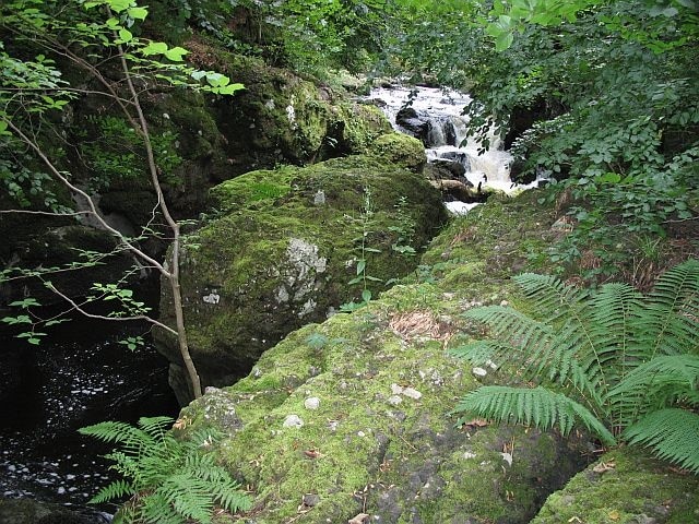 River Devon Upstream of Rumbling Bridge.