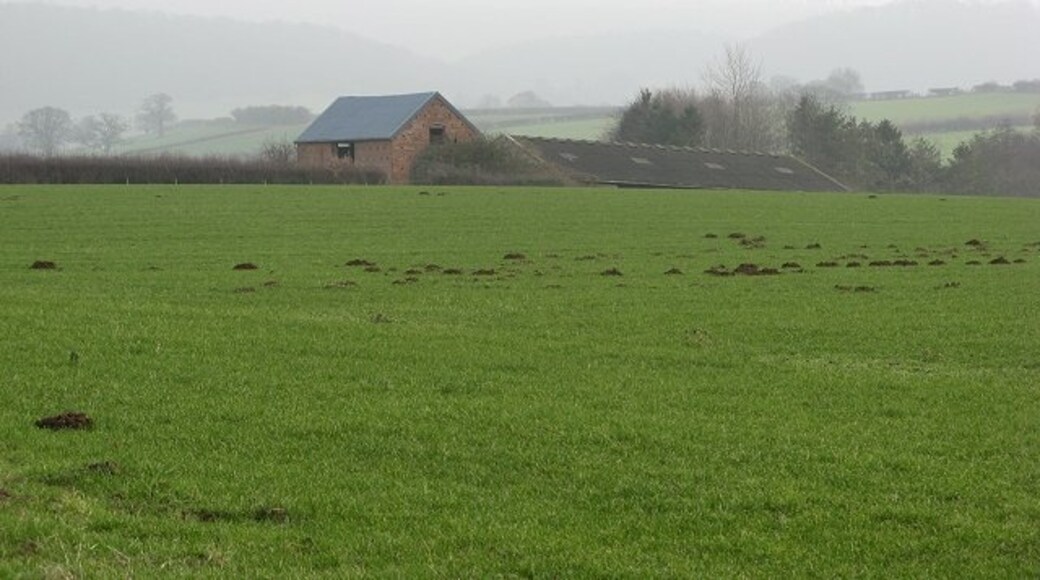 Photo "Burrington" by Richard Webb (CC BY-SA) / Cropped from original