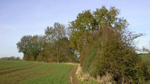 Foto „Klein-Harrowden“ von Kokai (CC BY-SA)/zugeschnittenes Original