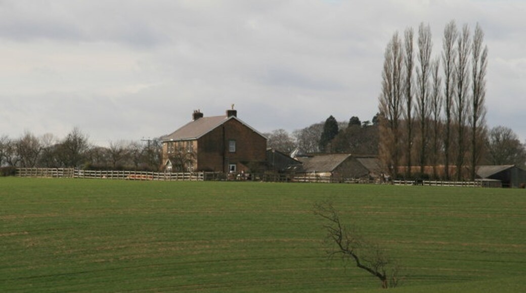 Kuva ”Bridge Hewick” käyttäjältä David Rogers (CC BY-SA) / rajattu alkuperäisestä kuvasta