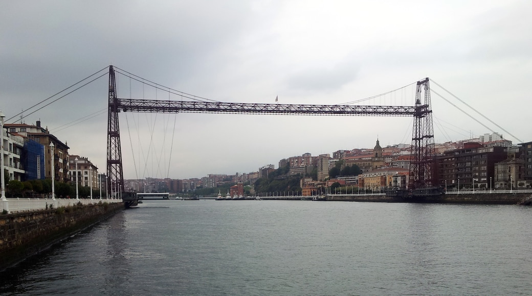 Photo "Vizcaya Bridge" by David Perez (CC BY) / Cropped from original