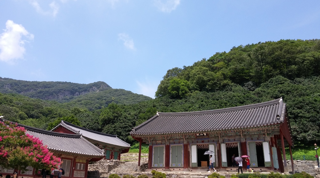 Gochang, Jeolla del Norte, Corea del Sur