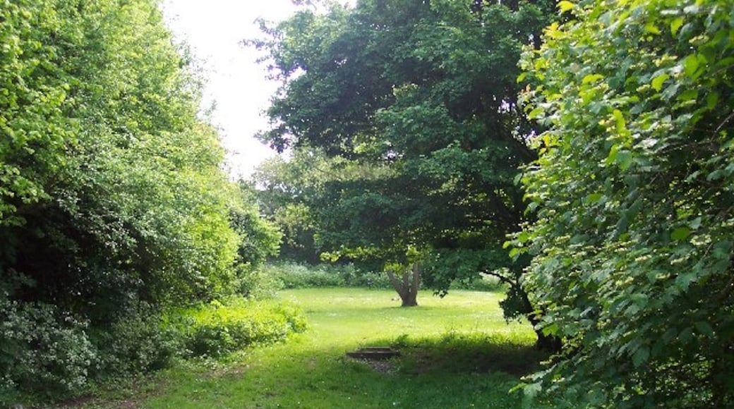 Foto ‘Oldfield Park’ van Ron Strutt (CC BY-SA) / bijgesneden versie van origineel