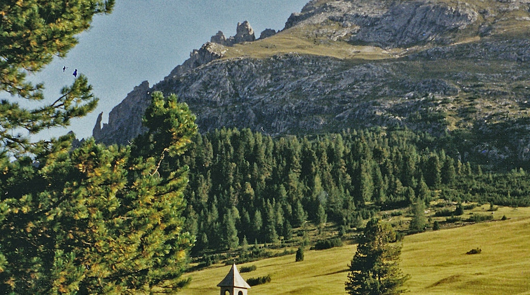 ภาพ "ภูเขาพลัทซ์วีเซอะ" โดย SchiDD (CC BY-SA) / ตัดภาพจากขนาดต้นฉบับ