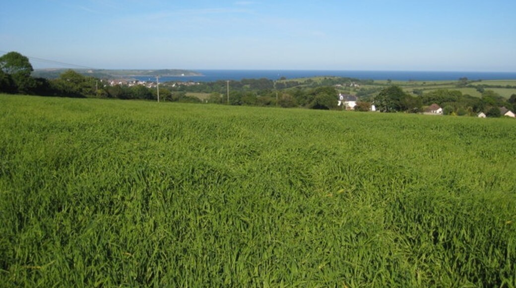 Kuva ”Budock” käyttäjältä Rod Allday (CC BY-SA) / rajattu alkuperäisestä kuvasta